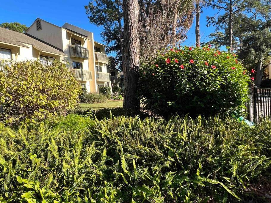 Spacious, Cozy Villa W/Parking In Coligny Villas Hilton Head Island Eksteriør bilde